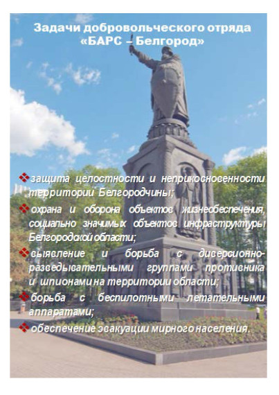 Задачи добровольческого отряда "Барс-Белгород". Задачи добровольческого отряда "Барс-Белгород".