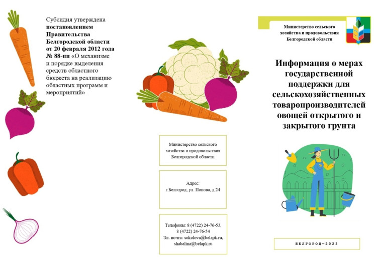 Предоставление субсидий. Предоставление субсидий.